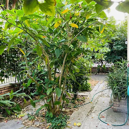 Apartament Baz-house San Paolo Rzym